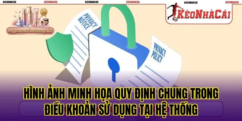 Hình ảnh minh họa quy định chung trong điều khoản sử dụng tại hệ thống